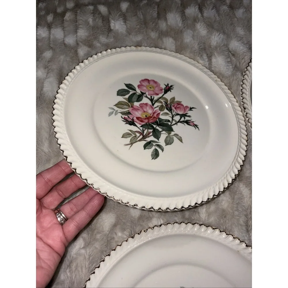 Harker Pottery Co. 22 kt gold  Wild Rose (Royal Gadroon) Dinner Plate Lot Of 6